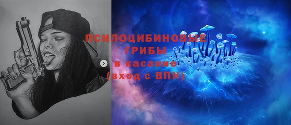 твердый Арсеньев