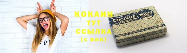 твердый Арсеньев