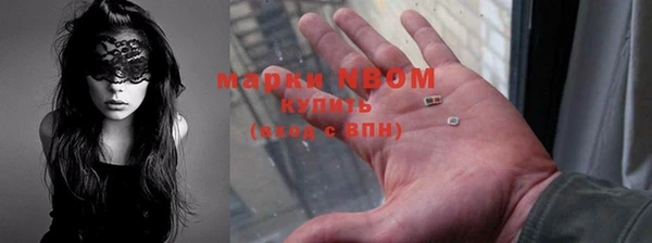 твердый Арсеньев