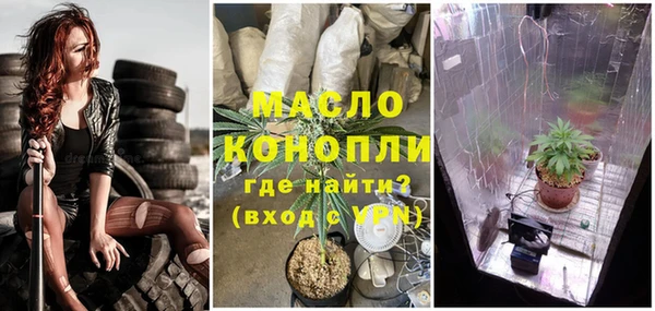 твердый Арсеньев