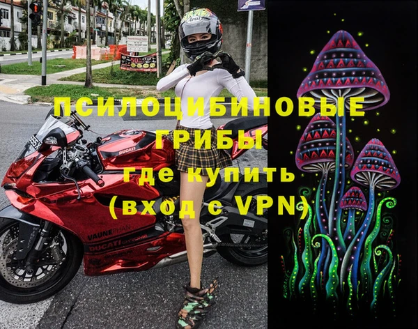 не бодяженный Аркадак