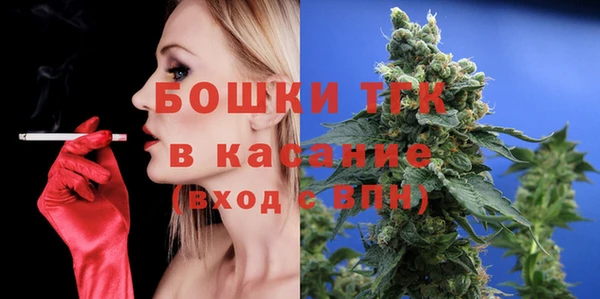 твердый Арсеньев