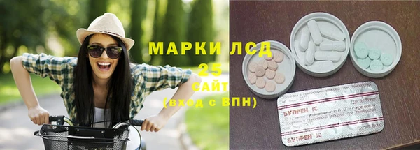твердый Арсеньев