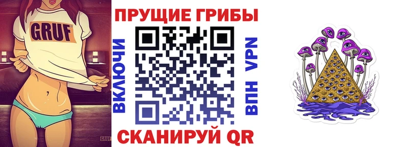 Псилоцибиновые грибы Cubensis  Балтийск 