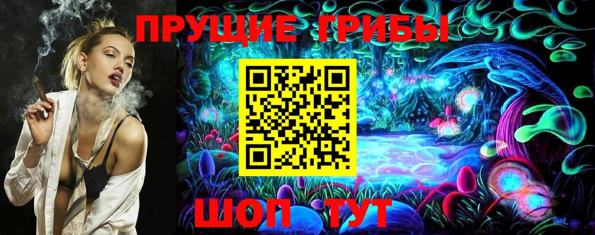 Балтийск  Псилоцибиновые грибы Cubensis  Вход с VPN 